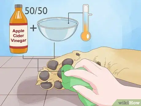 Image titled Stop a Dog from Licking Its Paws with Home Remedies Step 3