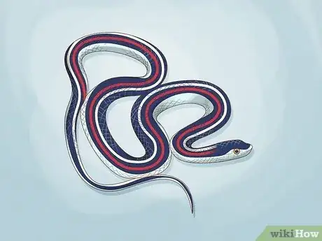 Image titled Catch a Garter Snake Step 1