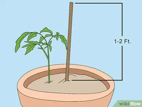 Image titled Support Tomato Plants in Pots Step 8