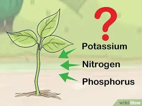 Image titled Apply Urea Fertilizer Step 9