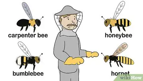 Image titled Get Rid of Bees Step 5