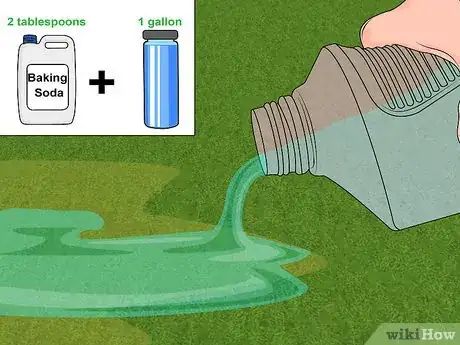 Image titled Repair Spots from Pet Urine in Lawn Grass Step 10