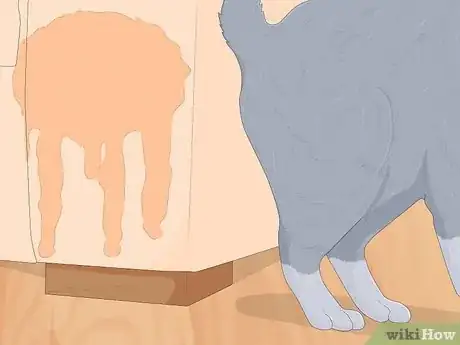 Image titled Keep Your Cat from Urinating Where It Shouldn't Step 8