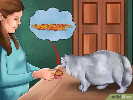 Image titled Feed Your Cat Natural Foods Step 3