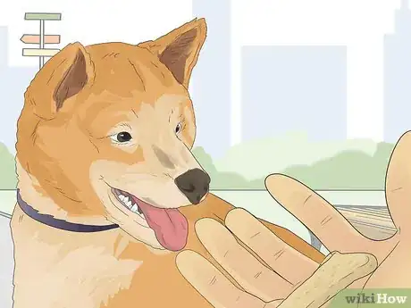 Image titled Train a Shiba Inu Step 16