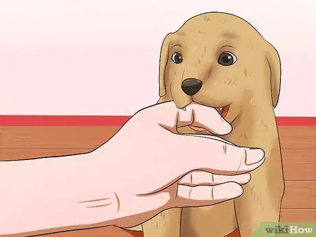 Image titled Make a Dog Stop Biting Step 14