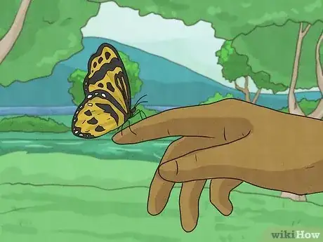 Image titled What Does It Mean when a Butterfly Lands on You Step 1