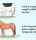 Calculate Stocking Rates for Your Pastures