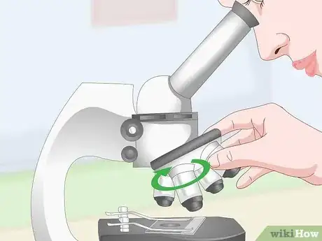 Image titled Clean Microscope Lenses Step 13