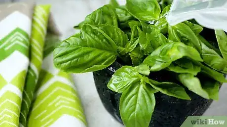 Image titled Store Fresh Basil Step 19