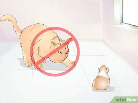 Image titled Exercise Your Guinea Pig Step 6