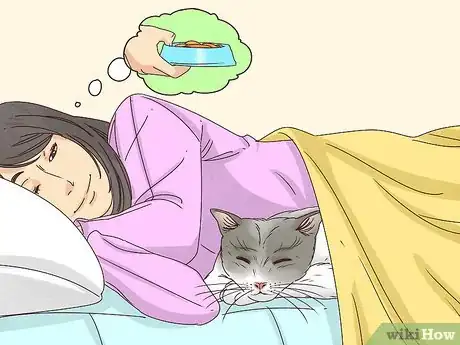 Image titled Get Your Cat to Sleep With You Step 7