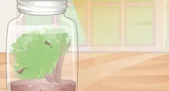 Make a Closed Aquatic Ecosystem