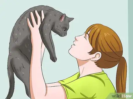 Image titled Give a Cat Medicine Step 14