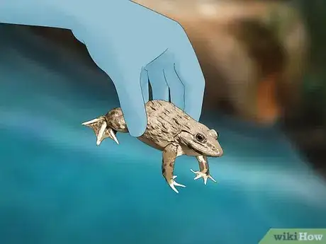 Image titled Find a Frog Step 10