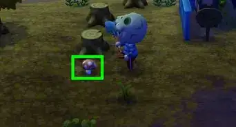 Grow Mushrooms in Animal Crossing: New Leaf