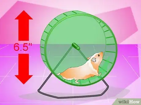 Image titled Make Your Hamster Live Longer Step 13