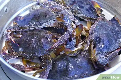 Image titled Cook Blue Crabs Step 3