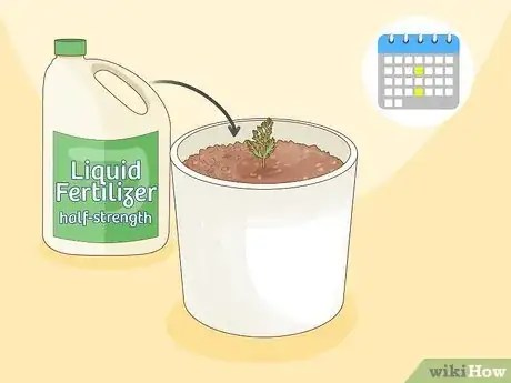 Image titled Plant a Seed in a Pot Step 10