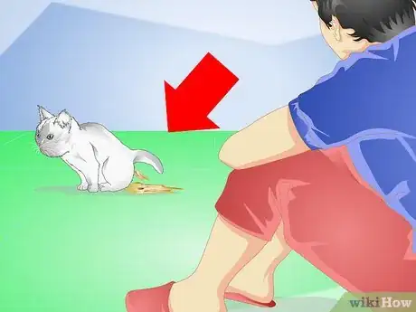 Image titled Get Your Kitten to Eat Step 18