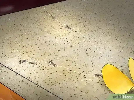 Image titled Stop Ants From Coming Into Your Home Step 12