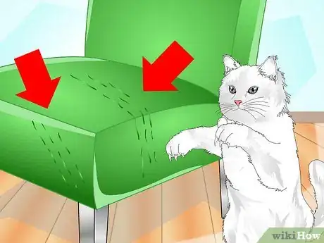 Image titled Get Your Cat to Use a Scratching Post Step 12