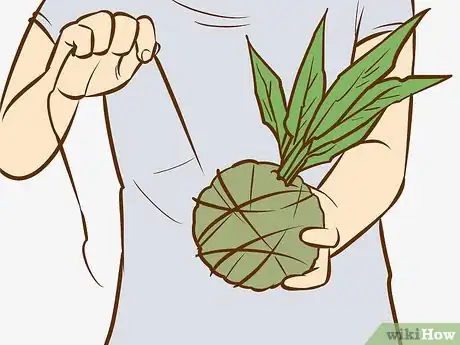 Image titled Make a Kokedama Step 9