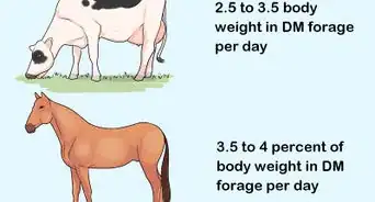 Calculate Stocking Rates for Your Pastures