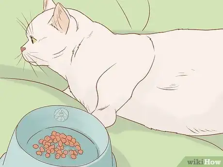 Image titled Tell if a Cat Still Has Kittens Inside Step 10