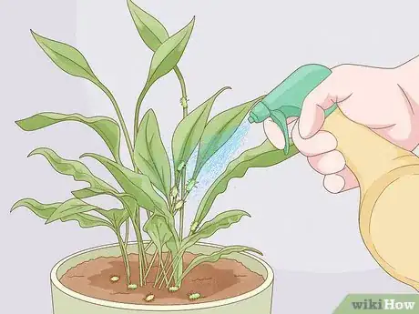 Image titled Keep Aphids Away Using Eco Friendly Methods Step 7