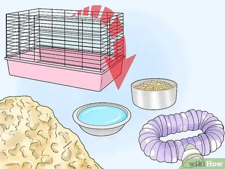 Image titled Get Rid of Mites on Hamsters Step 4