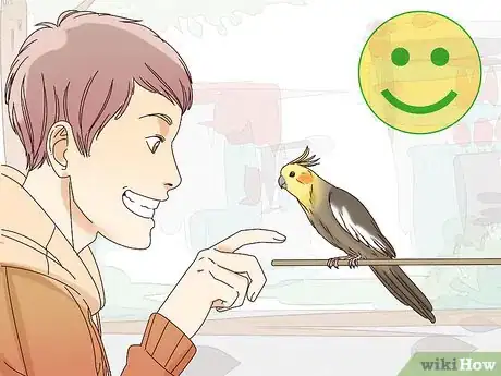 Image titled Understand Cockatiel Gestures Step 2