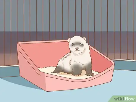 Image titled Make Your Ferret Happy Step 13