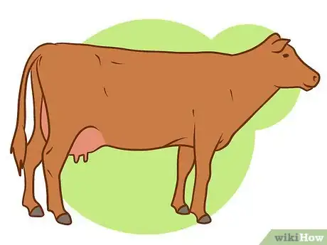 Image titled Judge Body Condition Scores in Cattle Step 5Bullet4