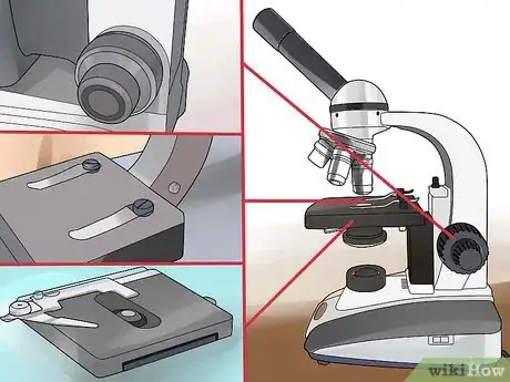 Image titled Use a Compound Microscope Step 5