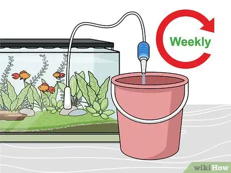 Image titled Grow Freshwater Aquarium Plants Step 13