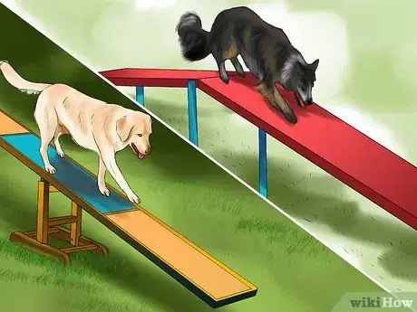 Image titled Design a Dog Agility Course Step 2