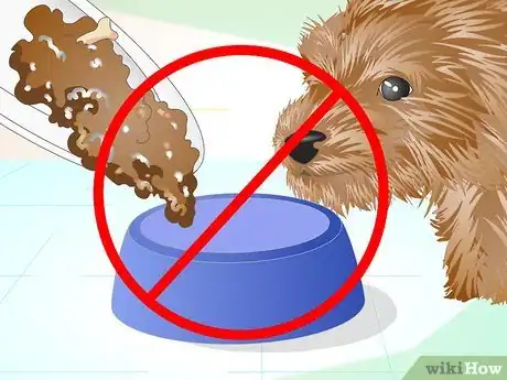 Image titled Keep Your Yorkie's Teeth Clean Step 15