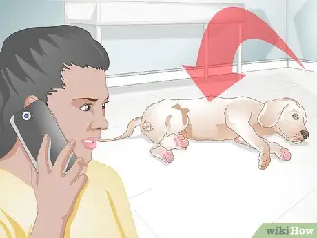 Image titled Apply Advantage to Dogs Step 10