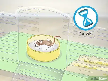 Image titled Give a Gerbil a Sand Bath Step 5