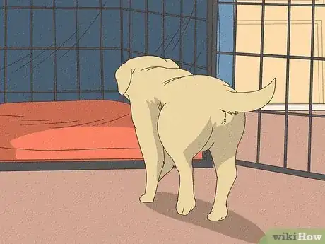 Image titled When to Stop Crate Training Step 2