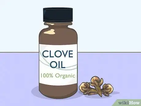 Image titled Use Clove Oil for Tooth Pain Step 1