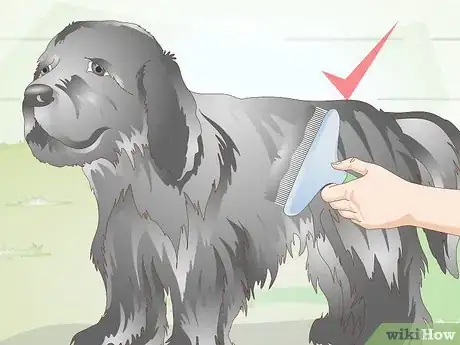 Image titled Brush Your Dog Step 21