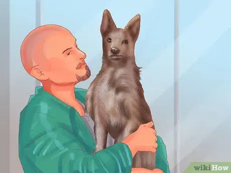 Image titled Buy Already Trained Dogs Step 8