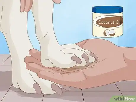 Image titled Stop a Dog from Licking Its Paws with Home Remedies Step 5