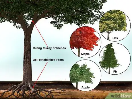 Image titled Build a Treehouse Step 1