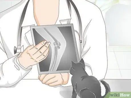 Image titled Take Care of a Kitten with a Broken Leg Step 7