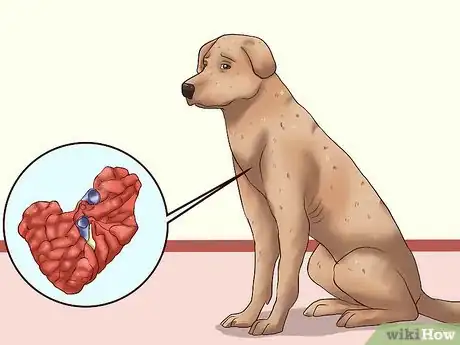 Image titled Fatten Up a Dog Step 2