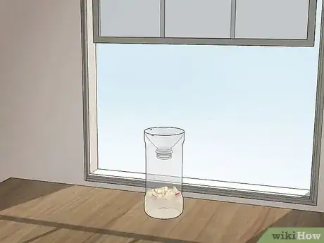 Image titled Make a Fly Trap Step 8