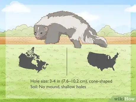 Image titled How Do You Identify Burrowing Animal Holes Step 8